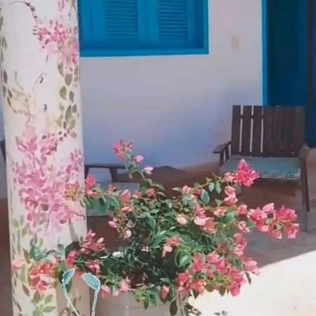 Recidencial Vila Pura Vida Canoa Quebrada Eksteriør billede