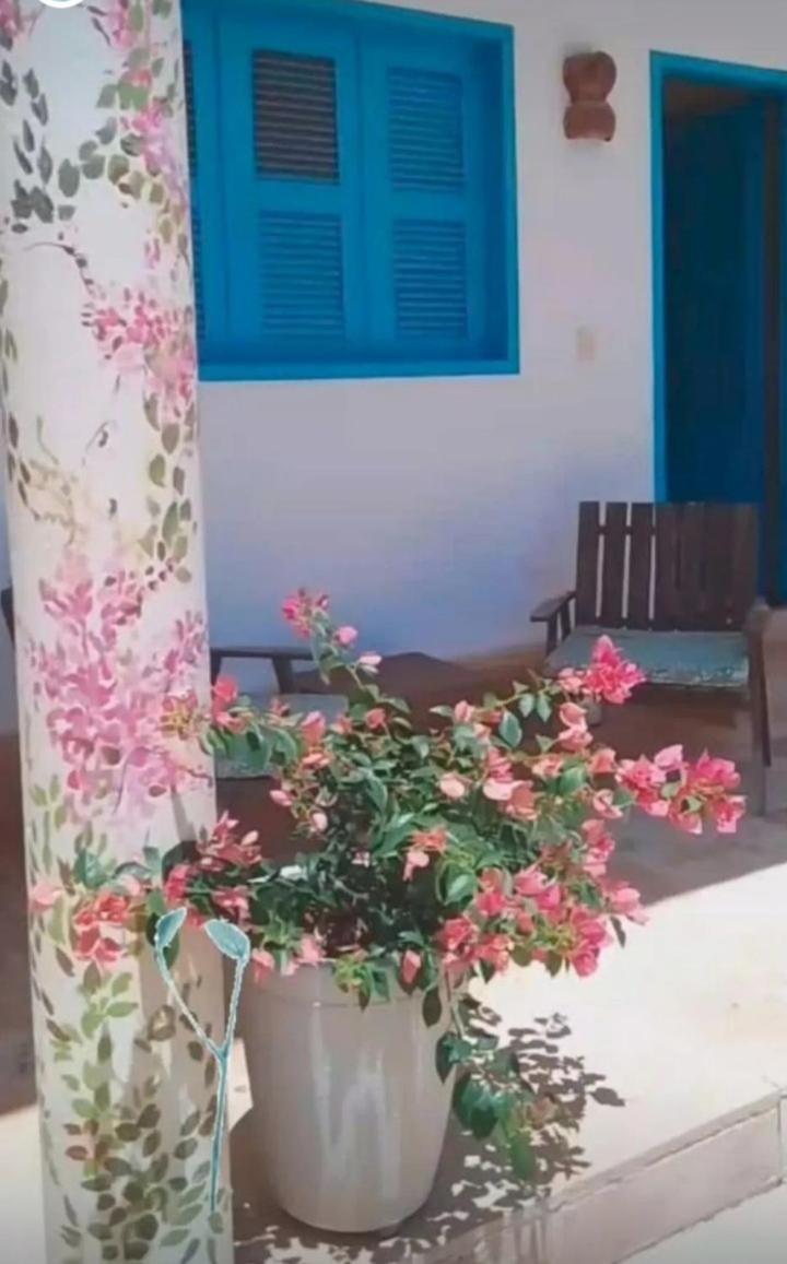 Recidencial Vila Pura Vida Canoa Quebrada Eksteriør billede
